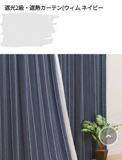 100×178　2枚組と、レースのカーテン
