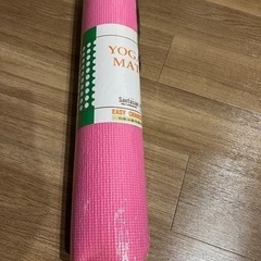 ヨガマット6mm yogamat 専用メッシュケース付き