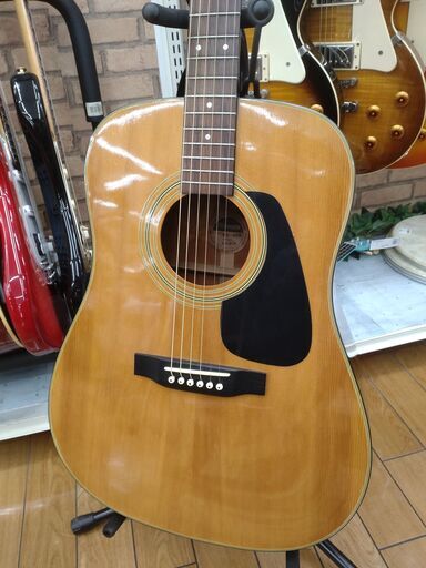 MORRIS アコースティックギター MD-201N MORRIS MD 201Nの値段と価格