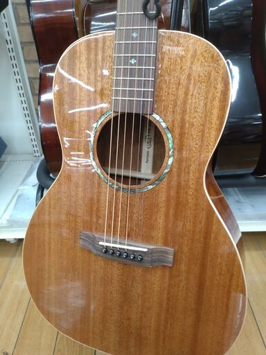 DCT エレアコギター FR-200E