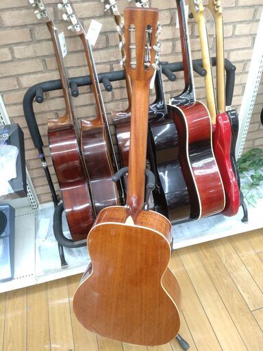 DCT エレアコギター FR-200E