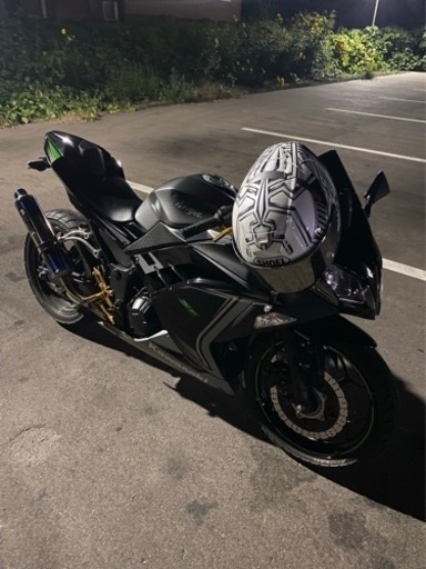 ninja250スペシャルエディション限定車