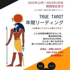 魔法のタロット:トゥルータロット(ラータロット)  年間リーディ...