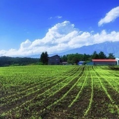 農作業スタッフ大募集‼︎ 未経験者、女性スタッフ大歓迎◎