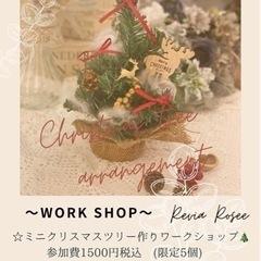 限定5個  ミニクリスマスツリーアレンジメントworkshop