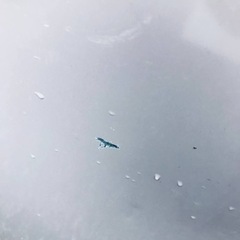 ②414番 三菱✨ノンフロン冷凍冷蔵庫✨MR-H26W-P‼️