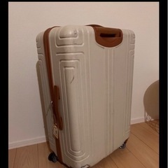 スーツケース　無料　大サイズ