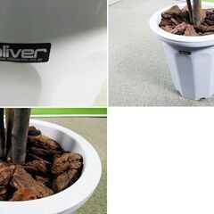 人工樹木 フェイクグリーン 高さ1900mm F-NA-576-1108A 人工樹木 フェイクグリーン 高さ1900mm F-NA-576-1108A