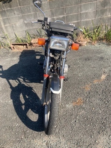 引き取り来てくれる方限定で話し合い中