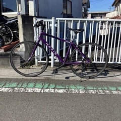 中古自転車】MARIN コルトマデラ (パープルカラー)