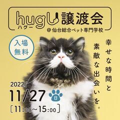 hugU（ハグー）譲渡会～幸せな時間と素敵な出会いを～ 
