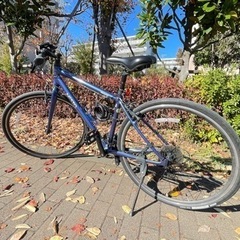 クロスバイク（NESTO VACANZE1）440mm