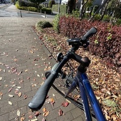 クロスバイク（NESTO VACANZE1）440mm