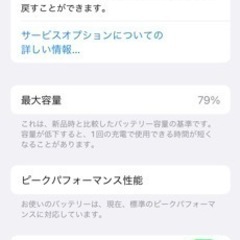 【ネット決済・配送可】iPhone