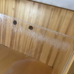 犬小屋アクリルゲージペットゲージペットサークル今日まで！