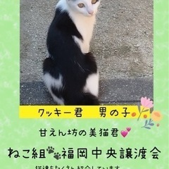 甘すぎるくらい甘えん坊の男の子