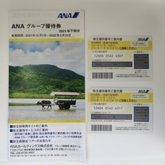 ANA/全日空 株主優待　2枚（※2022/11/30搭乗分まで）