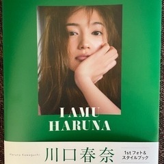 【美品】I AMU HARUNA / 川口春奈スタイル&フォトブック