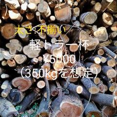 【ネット決済】薪　丸太　広葉樹