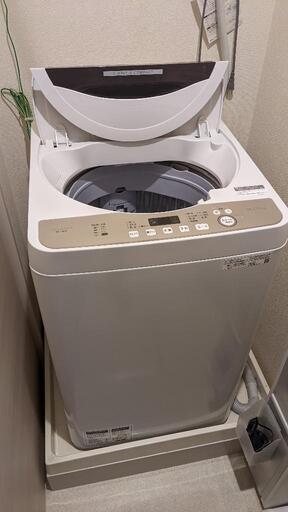 洗濯機 6.0kg【シャープ ES-GE6D】