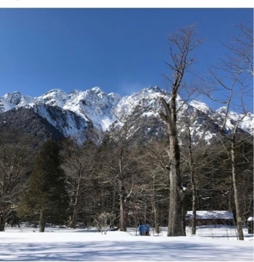 登山ガイドと行く　冬の雷鳥探し♫