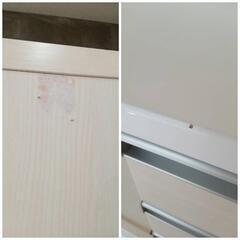 エンシェントガーディアンズEU版英語カートン12box-☆レンジボード