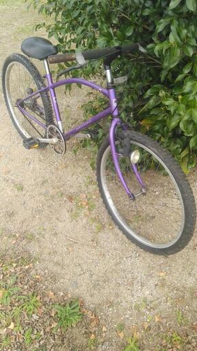 ゼブラ自転車　パセオクルーザー