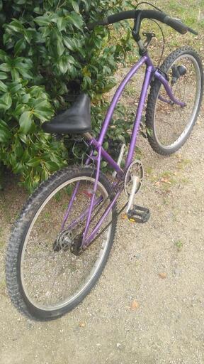 ゼブラ自転車　パセオクルーザー