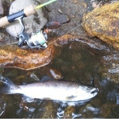 釣り仲間募集