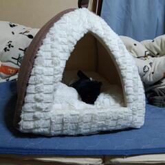 猫ハウス　テント型
