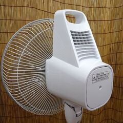 シャープ プラズマクラスター7000 リビングファン PJ-J3DG DCモーター 2019年製　扇風機 SHARP☆ PayPay(ペイペイ)決済可能 ☆ 札幌市 豊平区 平岸 シャープ プラズマクラスター7000 リビングファン PJ-J3DG DCモーター