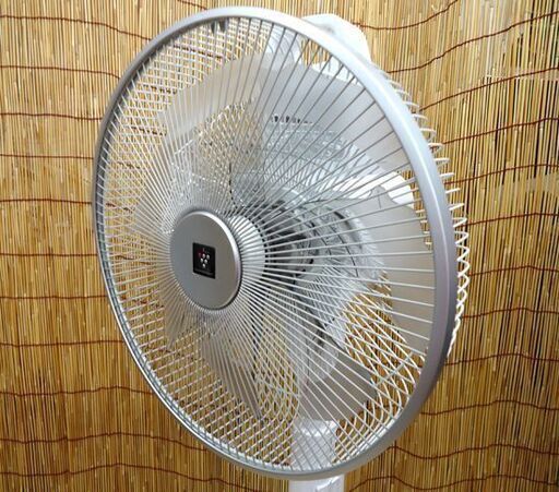 シャープ プラズマクラスター7000 リビングファン PJ-J3DG DC