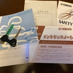 ヤマハ　シグナスX SR 