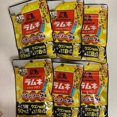 森永製菓 大粒ラムネ パインソーダ味 大粒 36g×6個