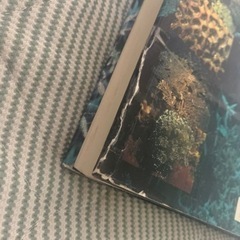 日本の造礁サンゴ類