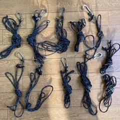 サバディカル　アルニカ