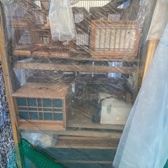 メジロの籠　餌入れ　虫