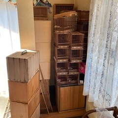 メジロの籠　餌入れ　虫