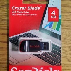 USBメモリー SanDisk Cruzer Blade 4GB ①