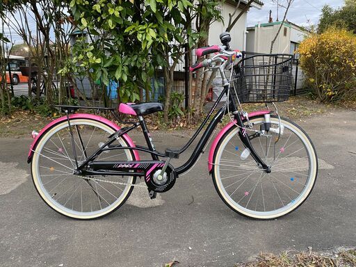 サタケ クリーンワンパス CBS550AS(2) 精米機 100V
