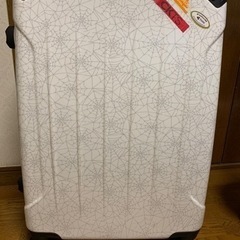 スーツケースL【決まりました】