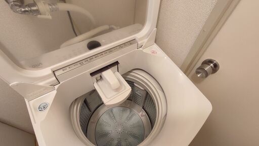 アクア 洗濯機 8kg AQUA AQW-GVX80J(W) | neper.edu.ec
