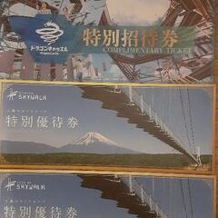 三島スカイウォーク&ドラゴンキャッスル　入場利用券　2組セット