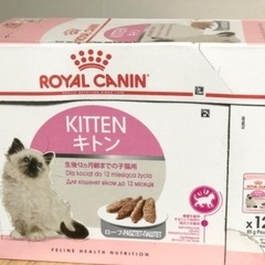 子猫用　ウェット　ロイヤルカナン　キトン　ローフ　②