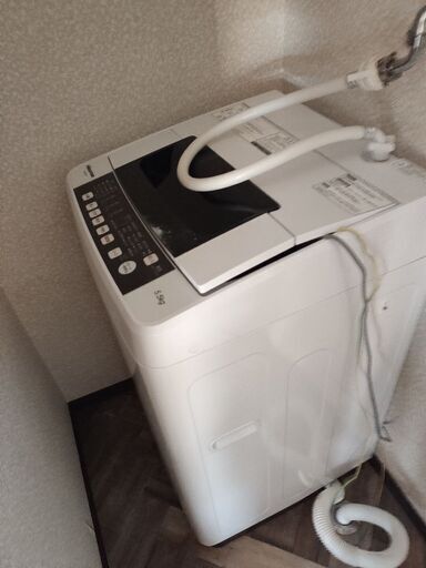 ハイセンス　2020年製　洗濯機　5.5kg　HW-T55C