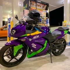 【ネット決済】【値下げ】Ninja250R エヴァンゲリヲン