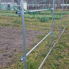  ビニールハウス 4年使用 奥行き30m 間口5.9m 高さ3m 