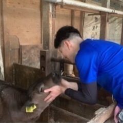 農業やってる方 必見‼️大阪堺市南区で牧場経営 酪農 自然の中で...