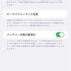 iPhone 13 Pro Max シエラブルー 1024 GB SIMフリー