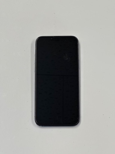 iPhone 13 Pro Max シエラブルー 1024 GB SIMフリー